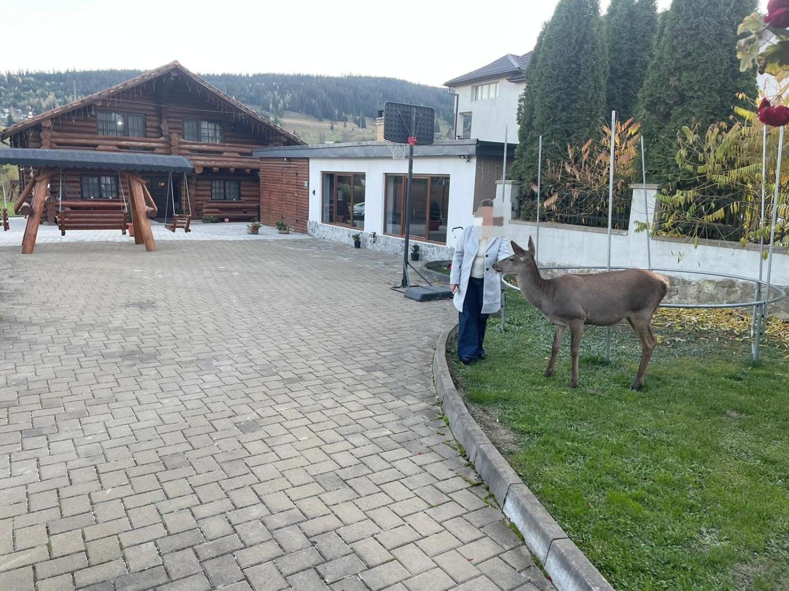 Villa Casa De Munte Vatra Dornei Exterior foto
